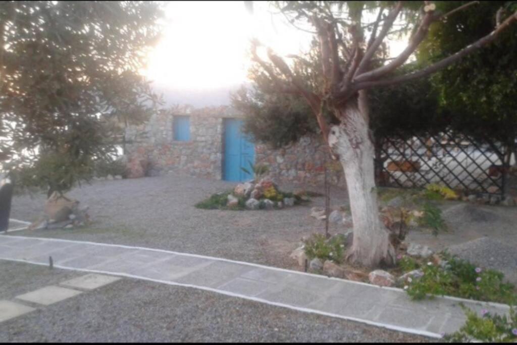 Villa Tsampika Pefki Exterior foto